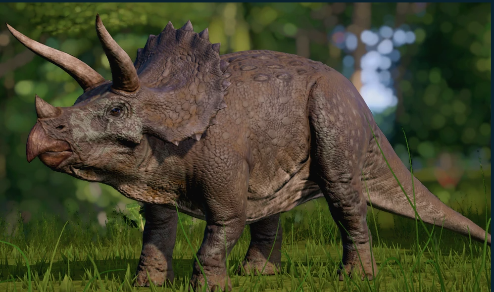 Triceratops